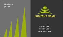 Finance-Business-card-2